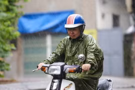 Ảnh chỉ có tính minh họa. (Ảnh: Lê Minh Sơn/Vietnam+)