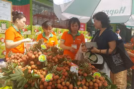 Vải thiều Thanh Hà được bày bán tại hệ thống siêu thị của Hapro. (Ảnh: Đỗ Phương Anh/TTXVN)