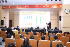 (Ảnh: Minh Quyết/TTXVN)