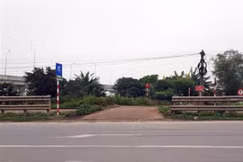 (Ảnh minh họa: Văn Đạt/TXVN)
