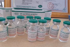 Vắcxin cúm mùa IVACFLU. (Ảnh: Phan Sáu/TTXVN)