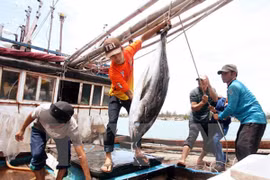 (Ảnh minh họa: TTXVN)
