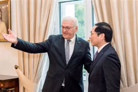 Bộ trưởng Ngoại giao Bùi Thanh Sơn và Tổng thống Liên bang Đức Frank-Walter Steinmeier. (Ảnh: Mạnh Hùng/TTXVN)