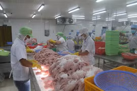 Chế biến cá da trơn xuất khẩu tại Công ty Cổ phần Gò Đàng, Tiền Giang. (Ảnh: Minh Trí/TTXVN)