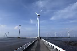 Nhà máy Điện gió Bạc Liêu có 62 turbin điện với tổng công suất dự tính 99MW. (Ảnh: Phan Tuấn Anh/TTXVN)