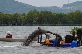  Một máy bơm hút cát dùng để khai thác phễnh trên đầm Thị Nại (Tuy Phước, Bình Định). (Ảnh: Tường Quân/TTXVN)