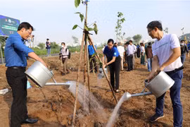 Đại diện Trung ương Đoàn và Thành Đoàn Thành phố Hồ Chí Minh tham gia trồng cây. (Ảnh: Hồng Giang/ TTXVN)