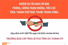 Nhiệm vụ của BCĐ phòng, chống tham nhũng, tiêu cực tỉnh, thành phố 