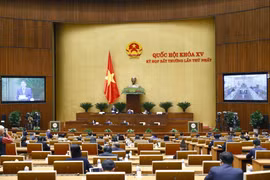 Phó Chủ tịch Quốc hội Nguyễn Đức Hải điều hành phiên họp. (Ảnh: Doãn Tấn/TTXVN)