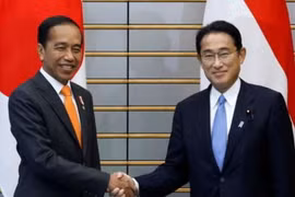Thủ tướng Nhật Bản Fumio Kishida và Tổng thống Indonesia Joko Widodo tại Tokyo. (Nguồn: Reuters)