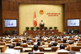 Bộ trưởng Bộ Công thương Nguyễn Hồng Diên, thừa ủy quyền của Thủ tướng Chính phủ trình bày Tờ trình dự án Luật Dầu khí. (Ảnh: Doãn Tấn/TTXVN)