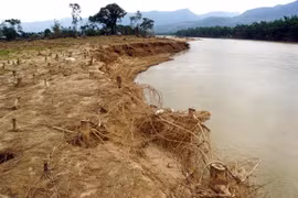 Nước lớn, chảy siết đã làm bờ sông Côn ở khúc cua tại thôn Thái Chấn Sơn, xã Đại Hưng, huyện Đại Lộc (tỉnh Quảng Nam) bị sạt lở nghiêm trọng. (Ảnh: Trịnh Bang Nhiệm/TTXVN)