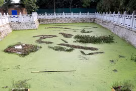 Hiện trường vụ đuối nước khiến hai cháu nhỏ tử vong. (Ảnh: Đinh Văn Nhiều/TTXVN)