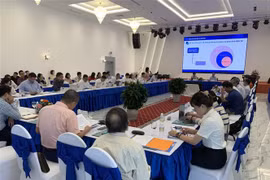 Quang cảnh buổi Hội thảo. (Ảnh: Sỹ Thắng/TTXVN)