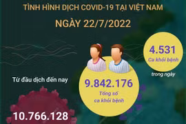 [Infographics] Cập nhật tình hình dịch COVID-19 tại Việt Nam ngày 22/7