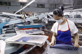 Ảnh chỉ mang tính minh họa. (Ảnh: Trần Việt/TTXVN)