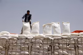 Các bao bột mỳ của Chương trình Lương thực Thế giới (WFP) được chuyển tới cảng Hodeidah, để phân phát cho người dân Yemen. (Ảnh: THX/TTXVN)
