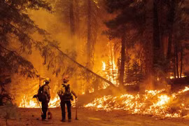 Cháy rừng dữ dội tại cộng đồng Prattville ở hạt Plumas, California (Mỹ) ngày 23/7/2021. (Ảnh: AFP/TTXVN)