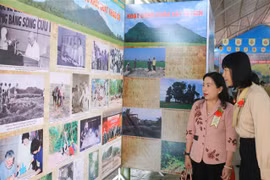 Đại biểu tham quan triển lãm. (Ảnh: Công Mạo/TTXVN)