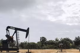 (Nguồn: africanews.com)