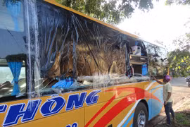 Ảnh chỉ mang tính minh họa. (Nguồn: TTXVN)