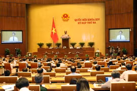 Toàn cảnh phiên họp. (Ảnh: Doãn Tấn/TTXVN)