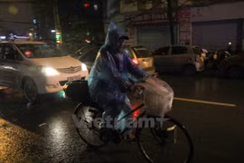 Ảnh minh họa. (Nguồn: Vietnam+)