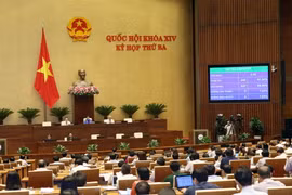Quốc hội biểu quyết thông qua Nghị quyết về Chương trình xây dựng luật, pháp lệnh năm 2018. (Ảnh: Doãn Tấn/TTXVN)