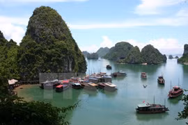 Kỳ quan thiên nhiên thế giới Vịnh Hạ Long. (Nguồn: TTXVN)