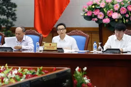  Phó Thủ tướng Vũ Đức Đam phát biểu. (Ảnh: Doãn Tấn/TTXVN)