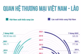 [Infographics] Quan hệ thương mại Việt Nam-Lào phát triển tích cực