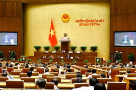 Quang cảnh phiên họp. (Ảnh: An Đăng/TTXVN)