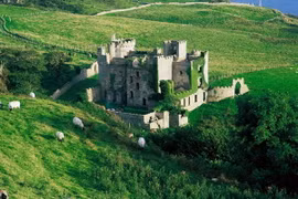 Đại sứ quán Ireland ở Việt Nam tổ chức sự kiện "nhuộm xanh Hà Nội"
