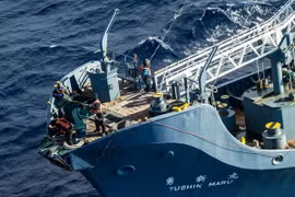 Tàu Yushin Maru của Nhật Bản săn cá voi ở Nam Đại Dương. (Nguồn: EPA/TTXVN)