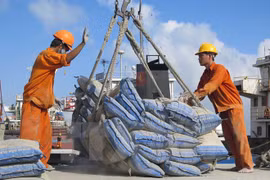 Công nhân bốc xếp ximăng xuất khẩu tại cảng Thị Nại. (Ảnh: Viết Ý/TTXVN)