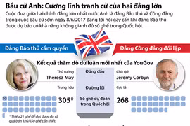 [Infographics] Bầu cử Anh: Cương lĩnh tranh cử của hai đảng lớn