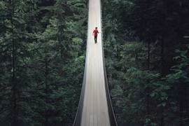 Cầu treo Capilano Suspension ở Canada. (Nguồn: NatGeo)