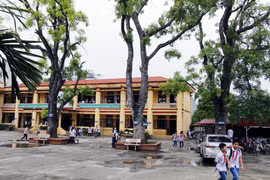 (Ảnh minh họa: Đại Nghĩa/TTXVN)