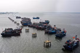 Tàu thuyền của ngư dân neo đậu tại khu neo đậu Phú Thuận, huyện Phú Vang, Thừa Thiên-Huế. (Ảnh minh họa: Hồ Cầu/TTXVN)