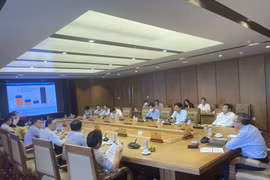 Hình ảnh buổi tọa đàm. (Ảnh: PV/Vietnam+)