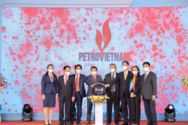 Lãnh đạo Tập đoàn thực hiện nghi thức công bố Bộ nhận diện thương hiệu PetroVietnam. (Ảnh: PV/Vietnam+)