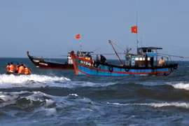 (Ảnh minh họa: Đoàn Hữu Trung/TTXVN)
