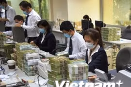 Ảnh minh họa. (Ảnh: T.H/Vietnam+).