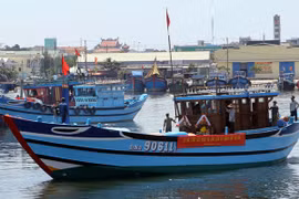 Ảnh minh họa. (Nguồn: TTXVN).