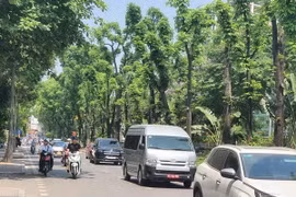 (Ảnh: Huy Khánh/Vietnam+)