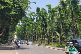 (Ảnh: Huy Khánh/Vietnam+)