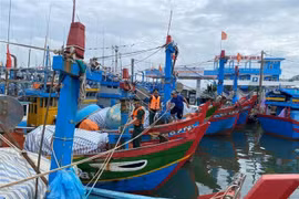 Tàu thuyền tránh trú bão. (Ảnh minh họa: Đinh Hương/TTXVN)