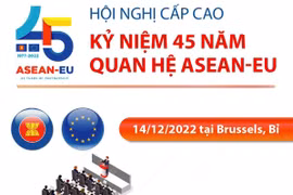 [Infographics] Hội nghị Cấp cao kỷ niệm 45 năm quan hệ ASEAN-EU