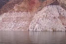 Mỹ: Một thiếu niên tử vong do mắc bệnh amip ăn não người