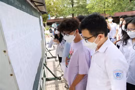 (Ảnh minh họa: Thanh Tùng/TTXVN)
